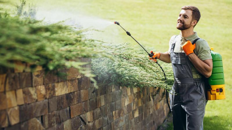 AdobeStock_531619311