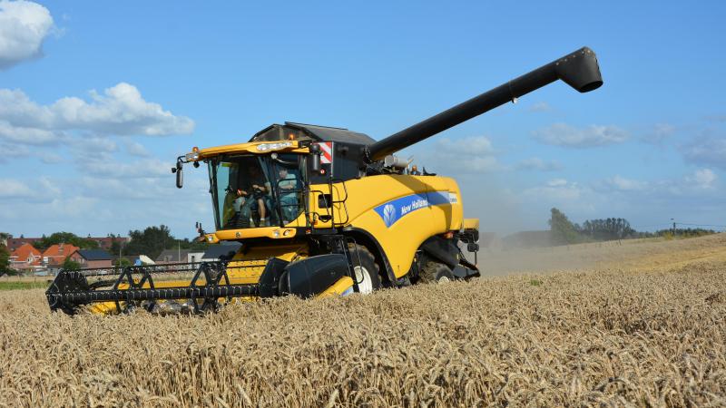 La production mondiale de céréale devrait s’établir à 2.255 mt pour la campagne 2022/2023,  avec de fortes disparités d’une culture à l’autre.