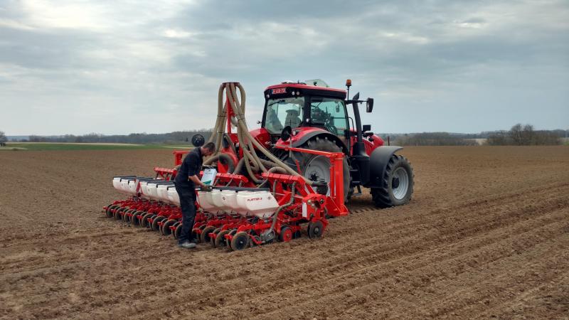 Contrairement à leurs homologues belges, les planteurs français pourront très certainement faire usage de semences enrobées aux néonicotinoïdes cette année.