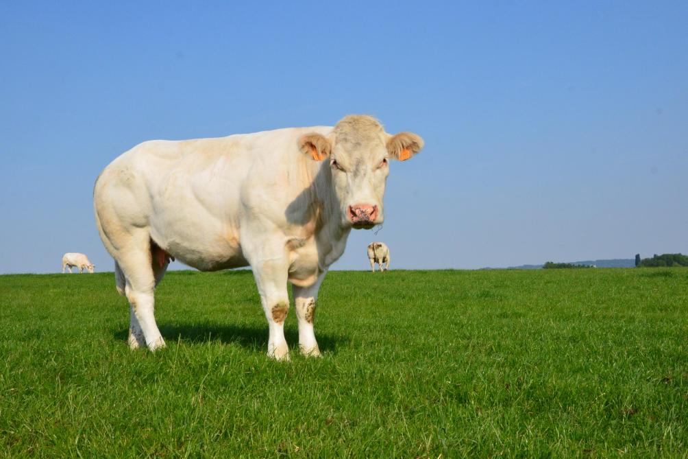 Concilier production agricole et environnement les avancées de la