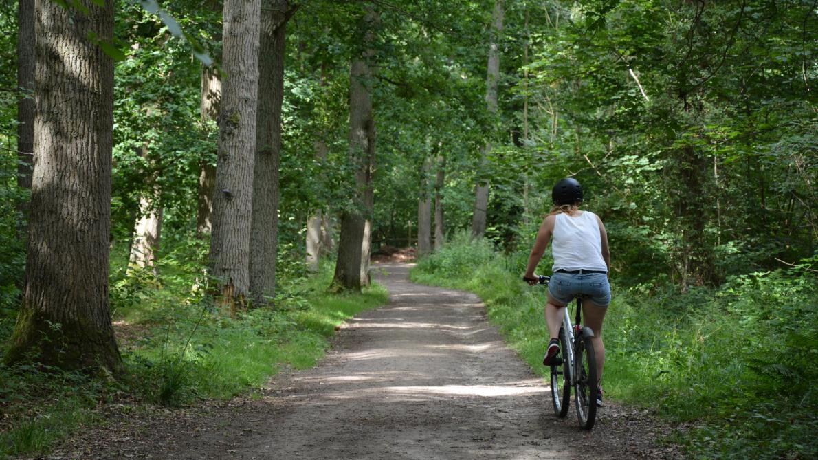 Gérer Au Mieux La Biodiversité Sans Compliquer Le Travail - 