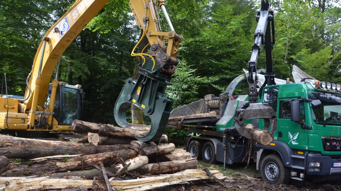 Par rapport aux événements forestiers similaires, Demo Forest présente le grand avantage de présenter des équipements de petit et grand calibres en conditions réelles de travail! Avec toutes les mesures de sécurité requises.