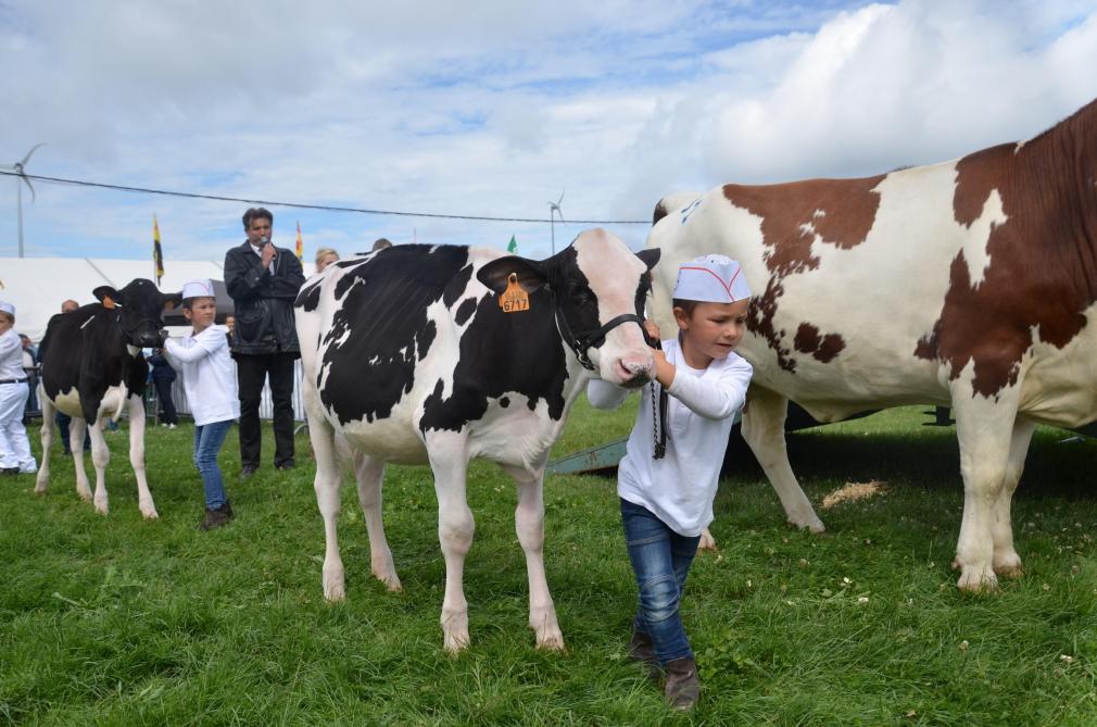 Très appliqués dans leur présentation, les jeunes ne se sont pas laisser décontenancer par les championnes montbéliardes.