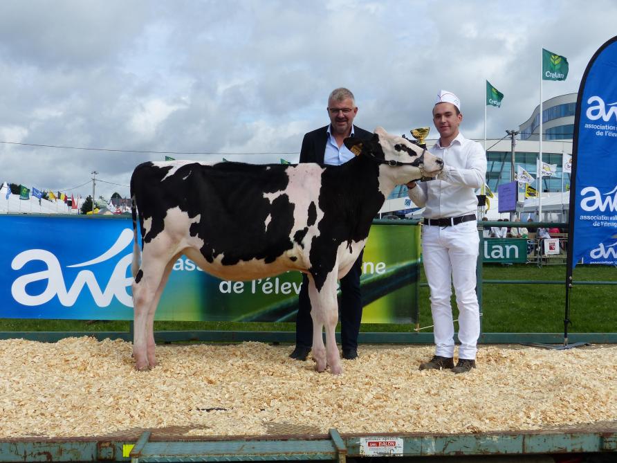 Gilles jonette remporte le Showmanship de Libramont 2017.