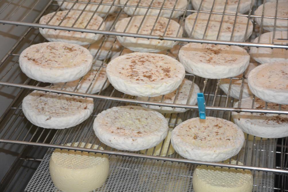 Les Grands Vauriens séjournent 2 à 3 semaines en cave d’affinage où les conditions de température, humidité de l’air et ventilation sont idéalement maîtrisées.