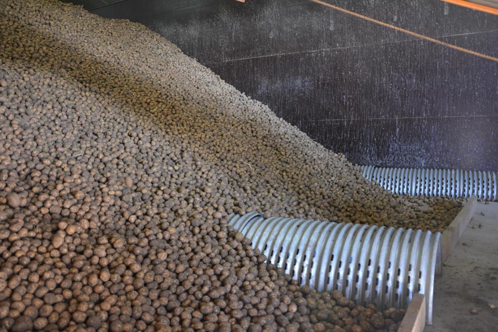 Trois Coins De Hangar Avec La Fiwap Conservation Ventilation Bilan Phyto Perspectives Sillonbelge Be