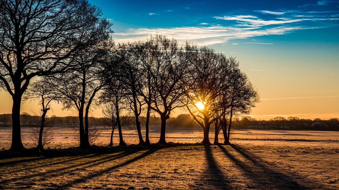 Comment Leguer Ma Prairie Libre D Occupation Sillonbelge Be