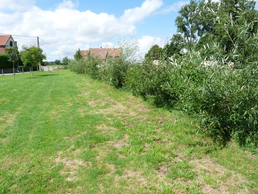 Le Parc naturel du Pays des collines soutient l’implantation de haies