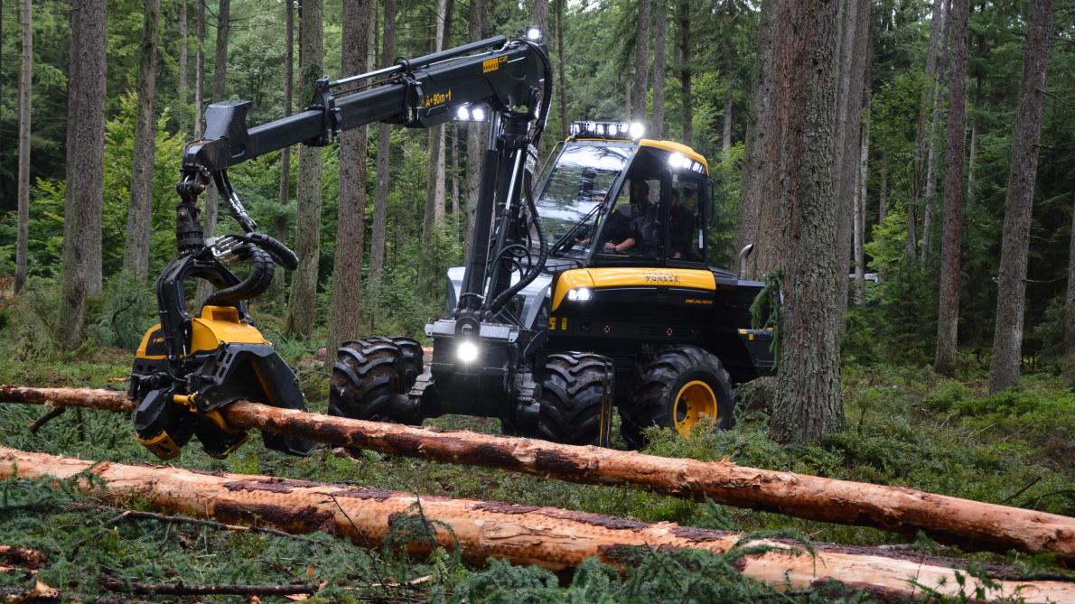 Prix Moyens Des Bois Sur Pied Pour La Periode Printemps Ete
