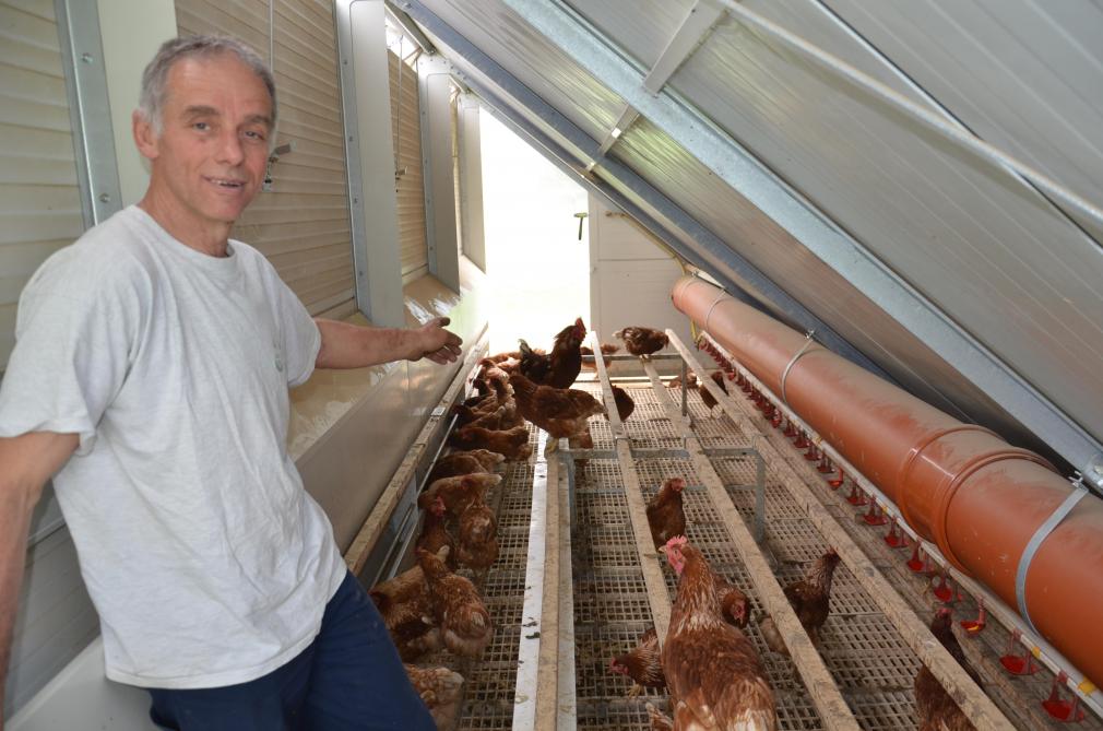 Un Poulailler Mobile Pour Des Pondeuses Qui Pâturent Vidéo