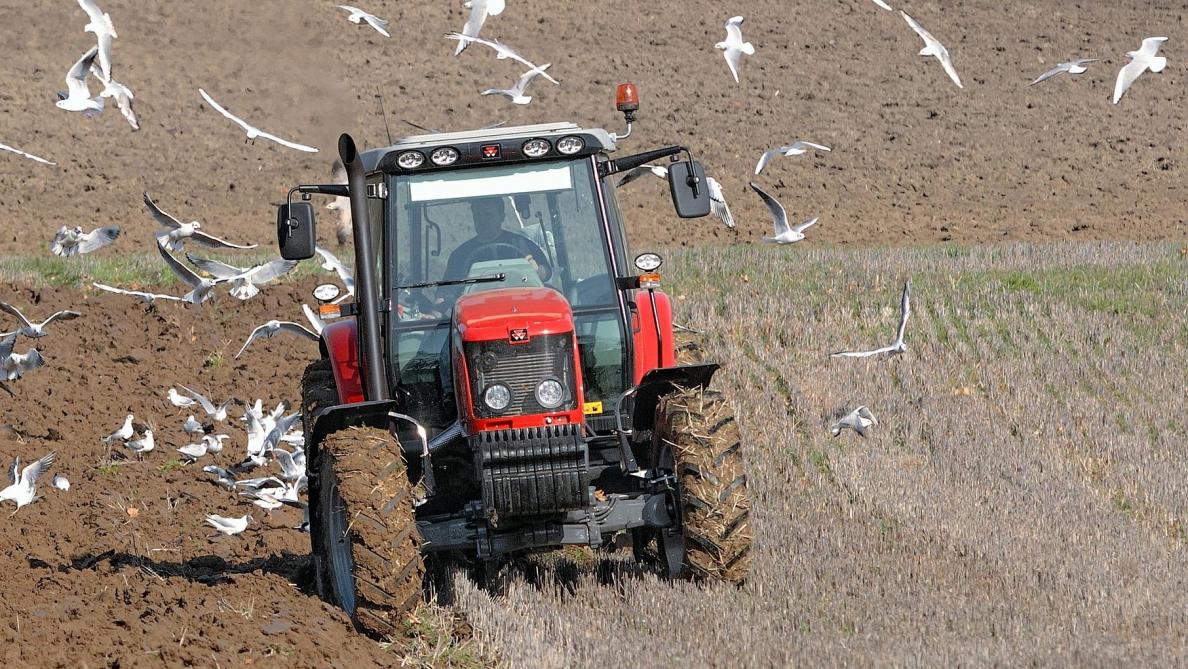 Bail Et Exploitation Par Une Societe Agricole Oui Mais