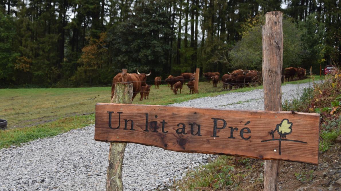 L&#39;abattage à la ferme, un mieux pour les animaux et les consommateurs -  SillonBelge.be