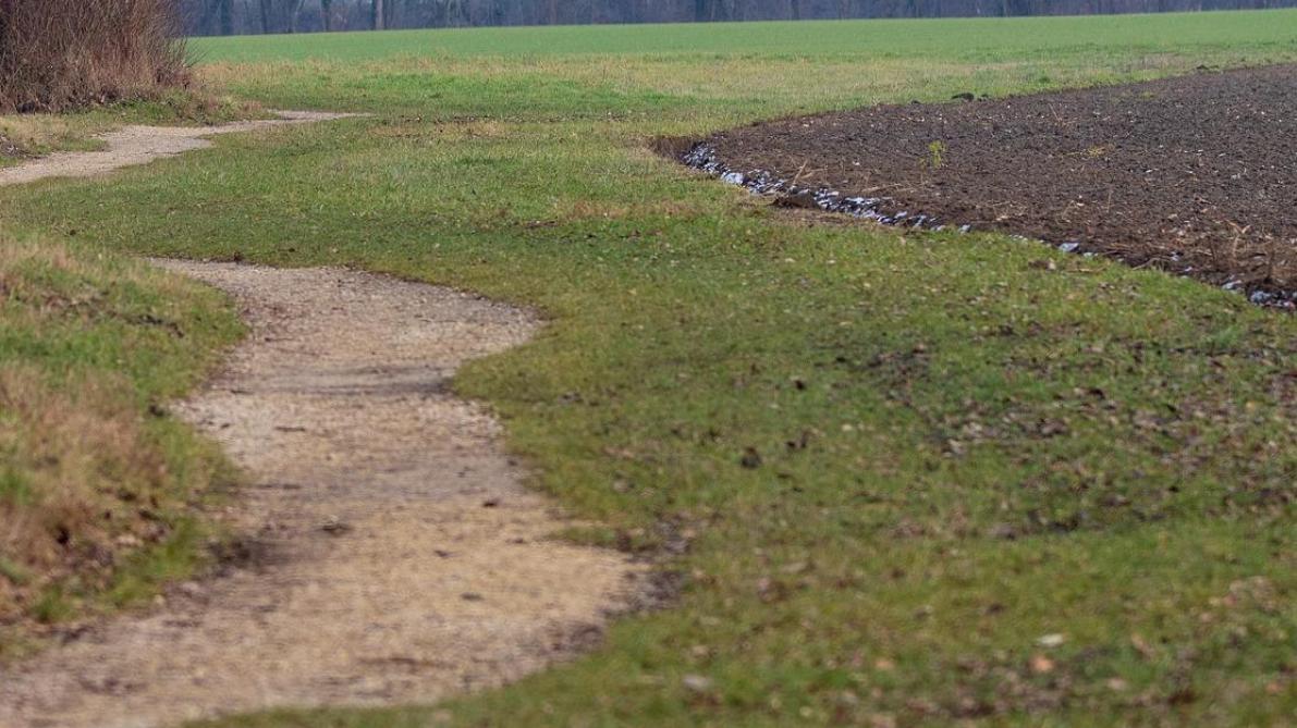 Comment Liquider Un Sentier Pedestre Sillonbelge Be