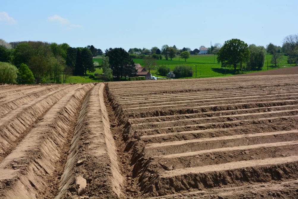 fertilisation de la terre en 10 lettres