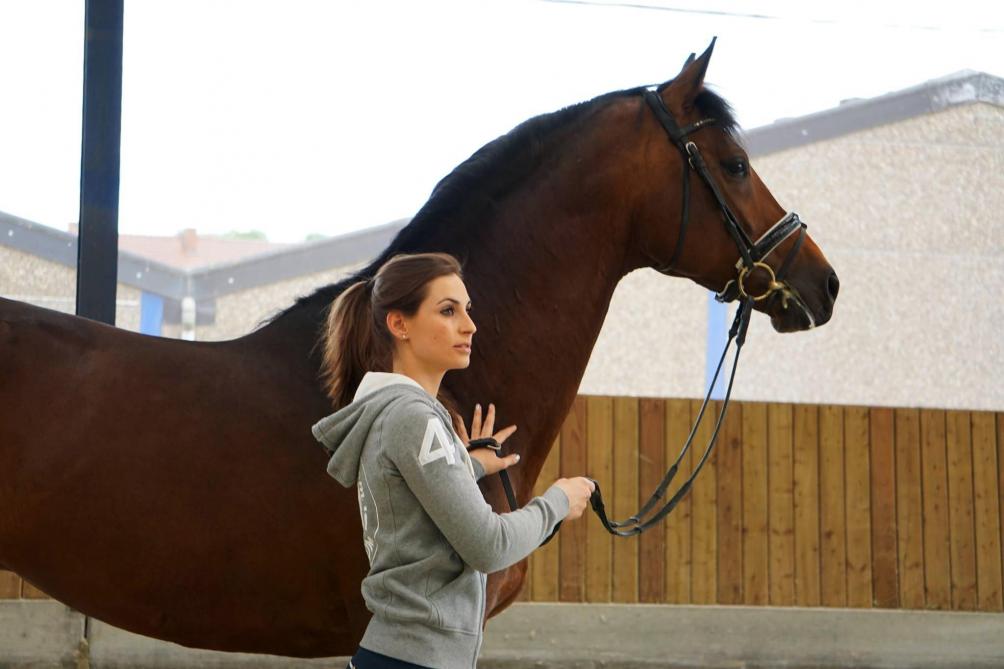 Pour Amandine Prévost, son sport est un vrai travail d’équipe. Ses chevaux sont  ses meilleurs partenaires.