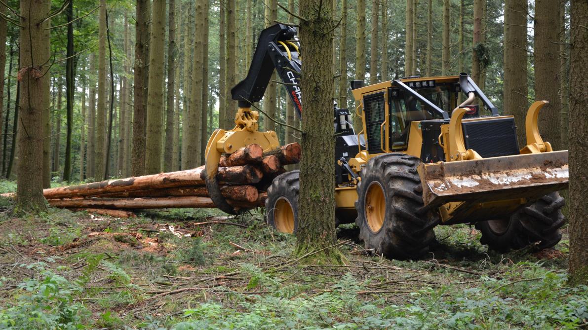 prix moyens des bois sur pied pour la periode printemps ete 2019 sillonbelge be