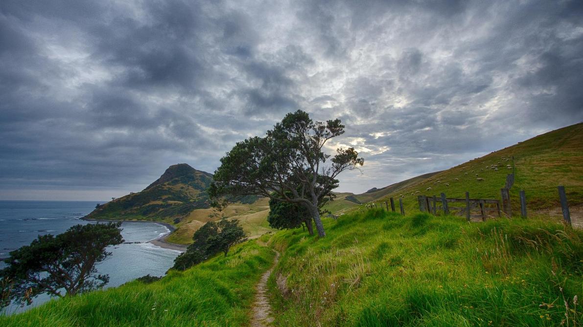 La Nouvelle-Zélande vise la neutralité carbone d’ici 2050