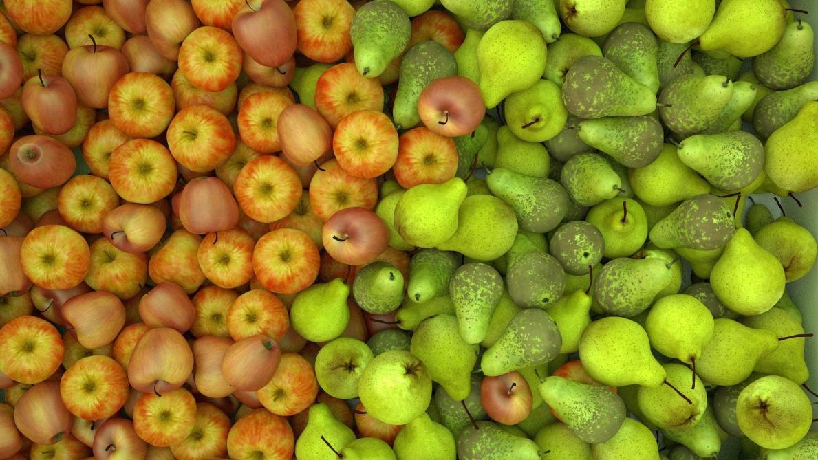 Des Pommes Des Poires Et Des Scoubidous