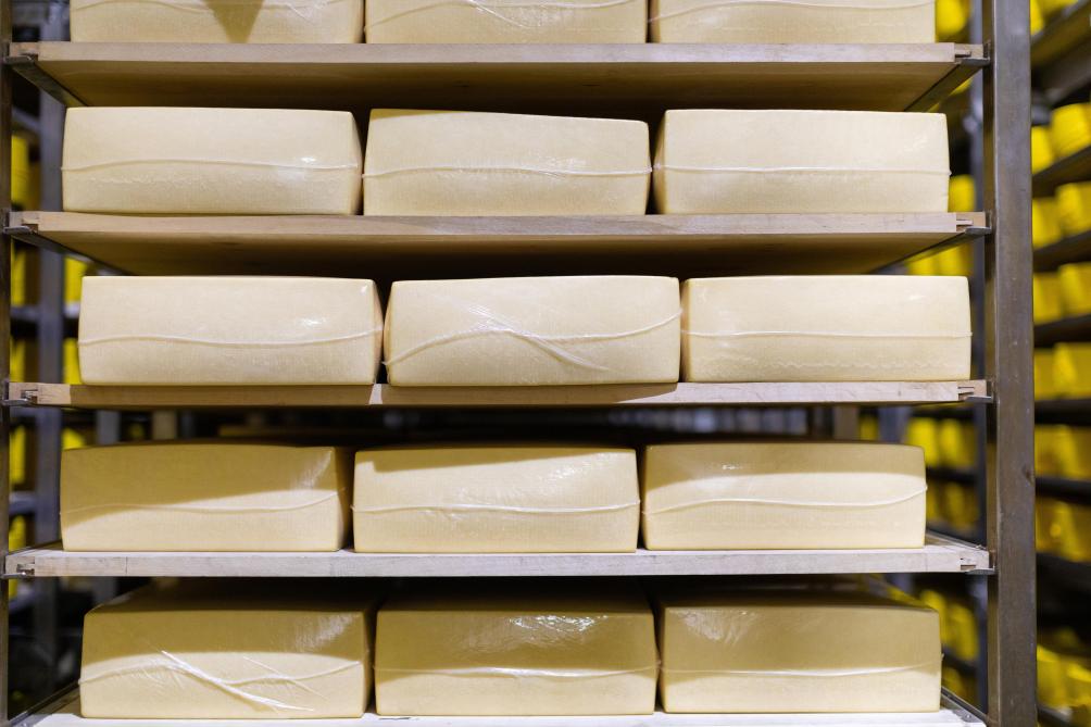 En Europe, les cours du fromage sont stables,  tandis qu’ils sont en hausse sur le marché mondial.