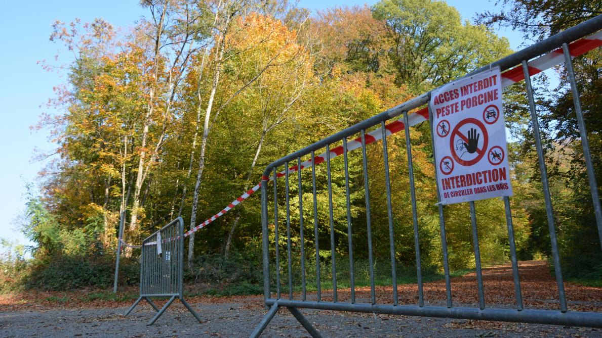Les forêts gaumaises à nouveau interdites d’accès
