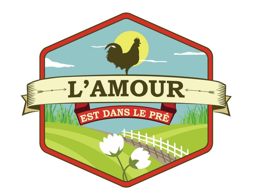 Saison 11 De L Amour Est Dans Le Pre On Fait Tous Attention A L Image Que L On Renvoie Sillonbelge Be