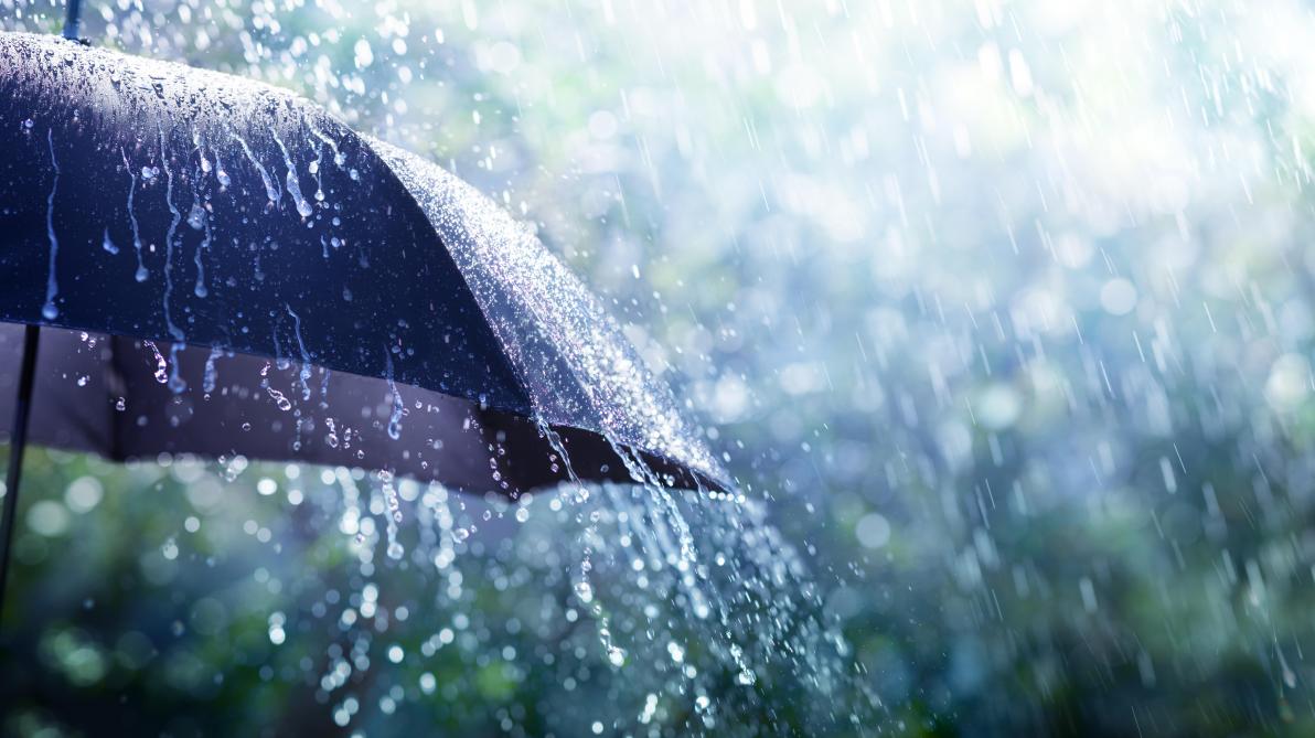 Apres La Pluie Sillonbelge Be Apres La Pluie Sillonbelge Be
