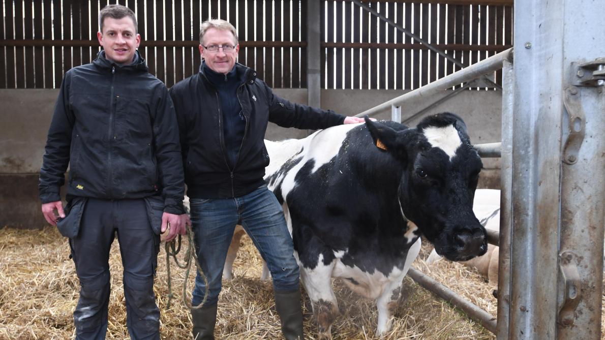 Julien et Eric Coheur sont à la tête d’un cheptel de taille (450 bêtes) pour un élevage de haute valeur génétique qui a acquis sa renommée de par ses bons résultats en concours.