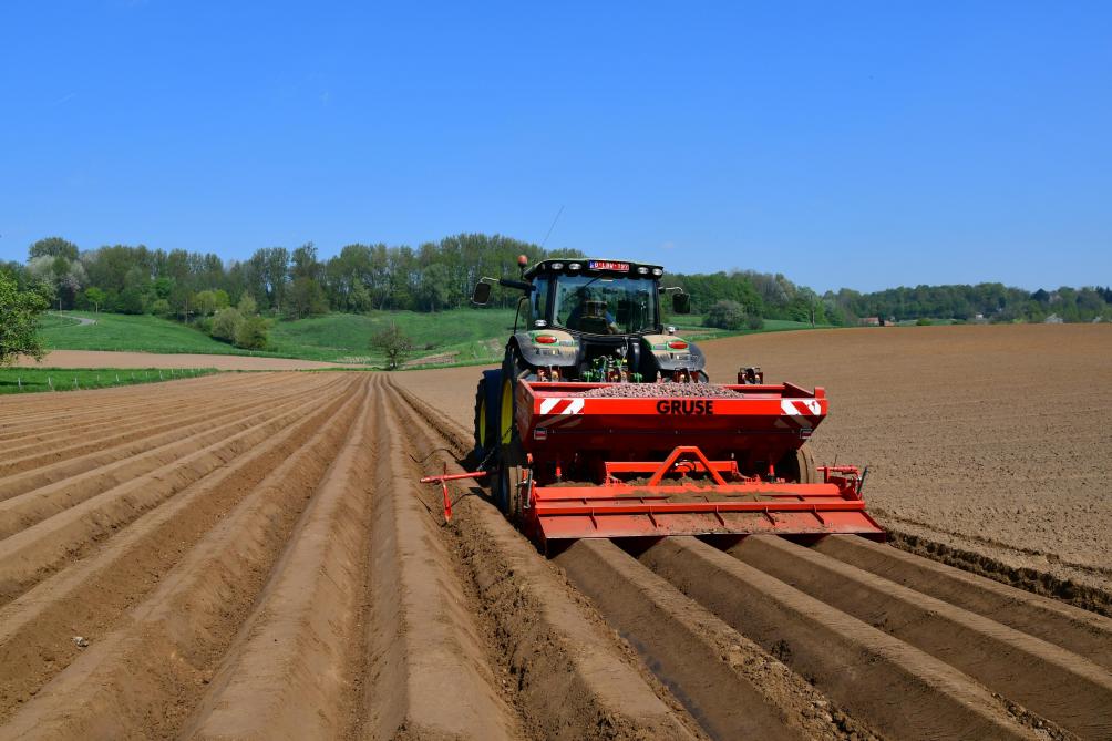 Pomme De Terre Et Varietes Robustes Un Interet Aussi Pour Les Producteurs Conventionnels Sillonbelge Be