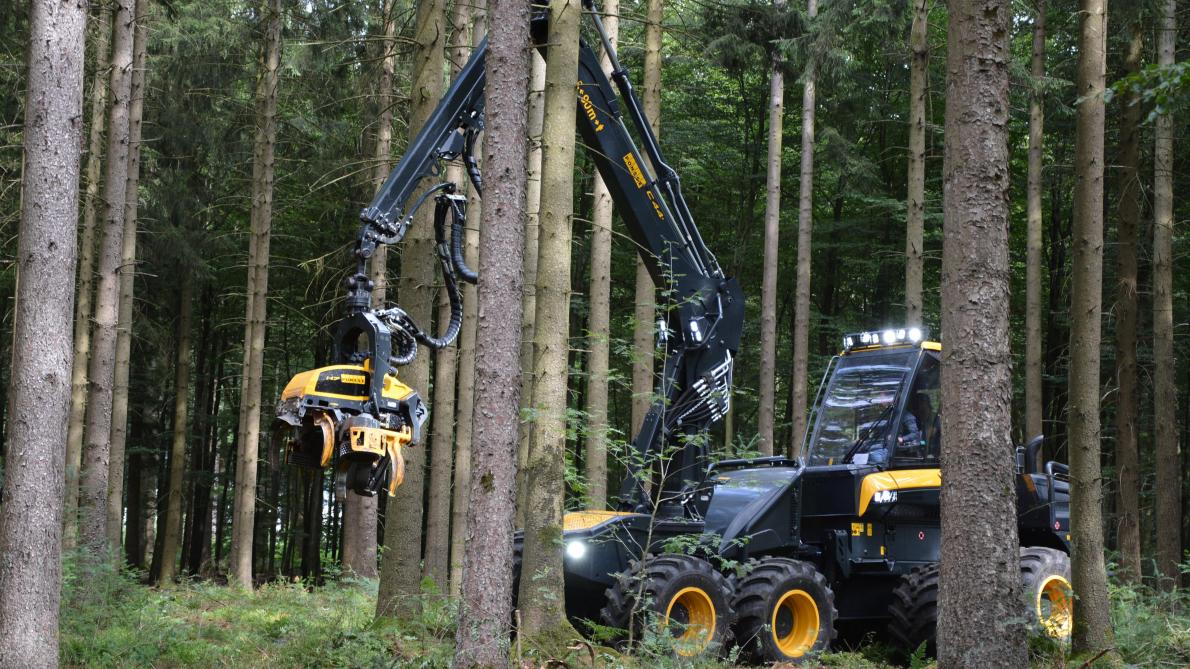 PPA: les travaux forestiers reprendront prochainement, sous conditions