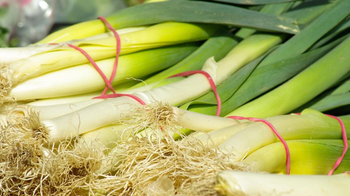La recette de la semaine: avec une botte de poireaux ...