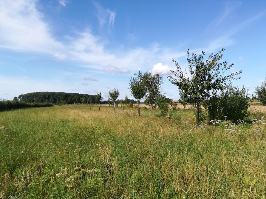 Le Parc naturel des Plaines de l’Escaut s’agrandit - SillonBelge.be - Parc Naturel Des Plaines De L Escaut