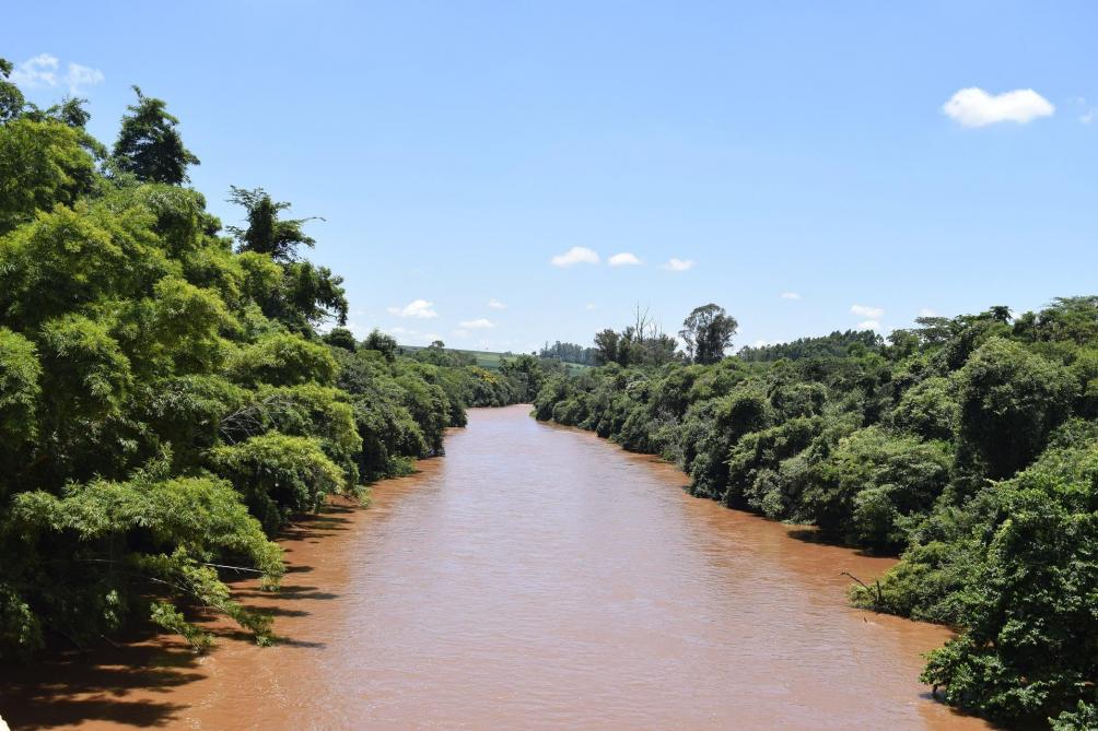 Atteinte A L Amazonie Au Bresil Deforestation Record Sillonbelge Be