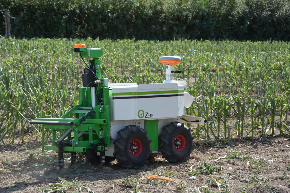 Certains robots ne travaillent que dans un seul inter-rang à la fois (ici : le robot Oz, de Naïo  Technologie).