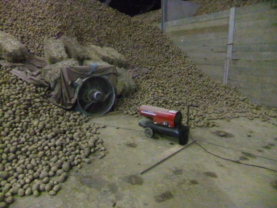 pomme de pin fonte h65