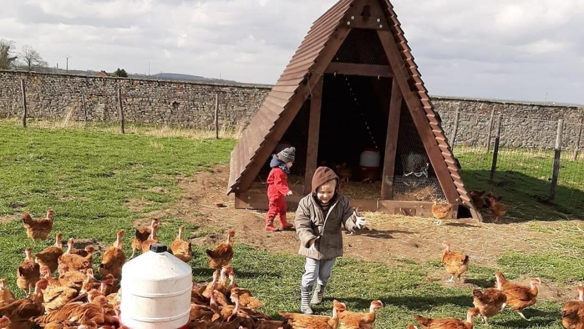 Les premiers poulets de l’année sont vendus en avril. La famille Goupil fait une pause de janvier à avril du fait des conditions climatiques moins adéquates.