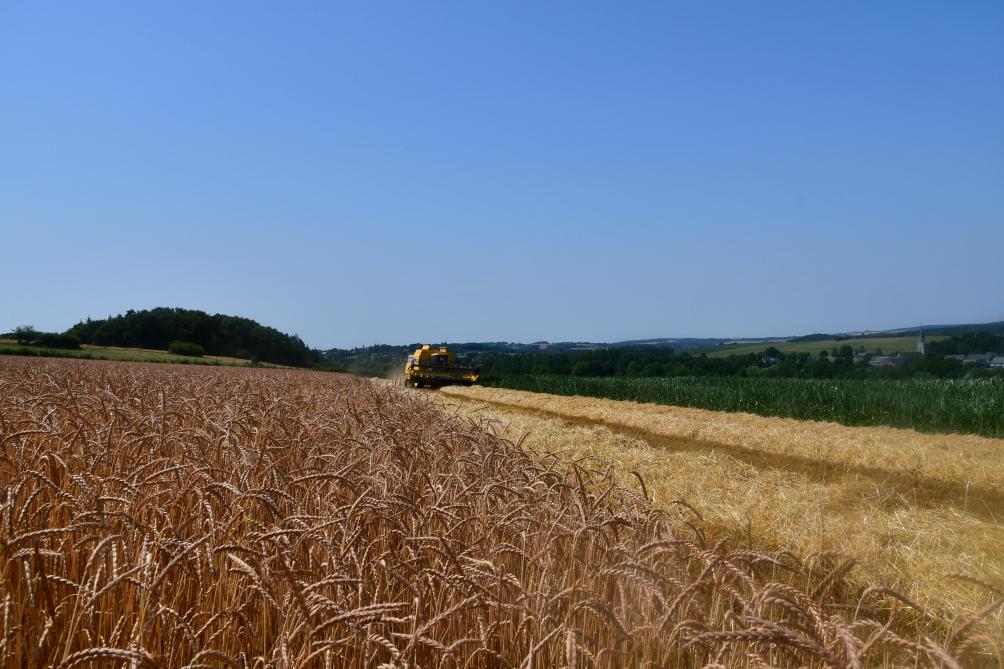 Bel Grains Farine Bio Artisanale Et 100 Locale Sillonbelge Be