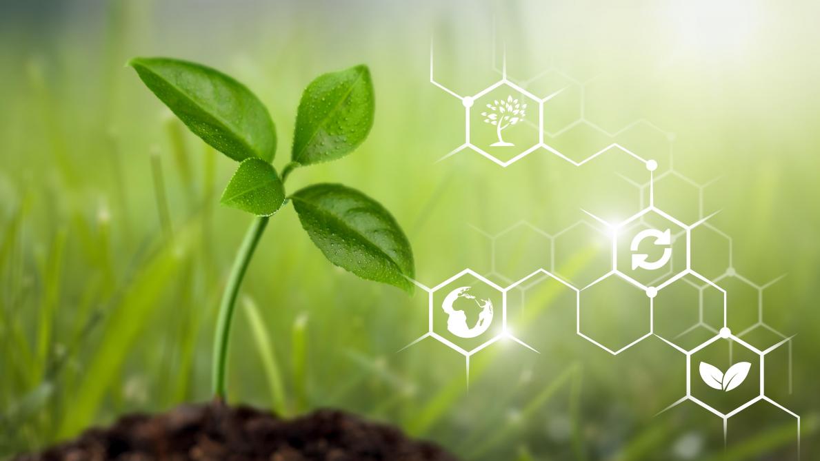 Les produits de biocontrôle occupent aujourd’hui environ 5 % du marché des phytosanitaires, mais une forte croissance de leur part (15 %/an) est prédite pour les décennies à venir.