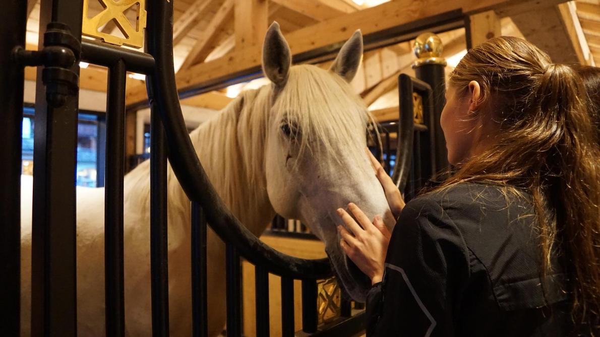 De nombreux cavaliers s’adressent déjà de manière enfantine à leurs chevaux. Cela facilite  la communication dans les interactions quotidiennes et accroît le bien-être  des animaux.