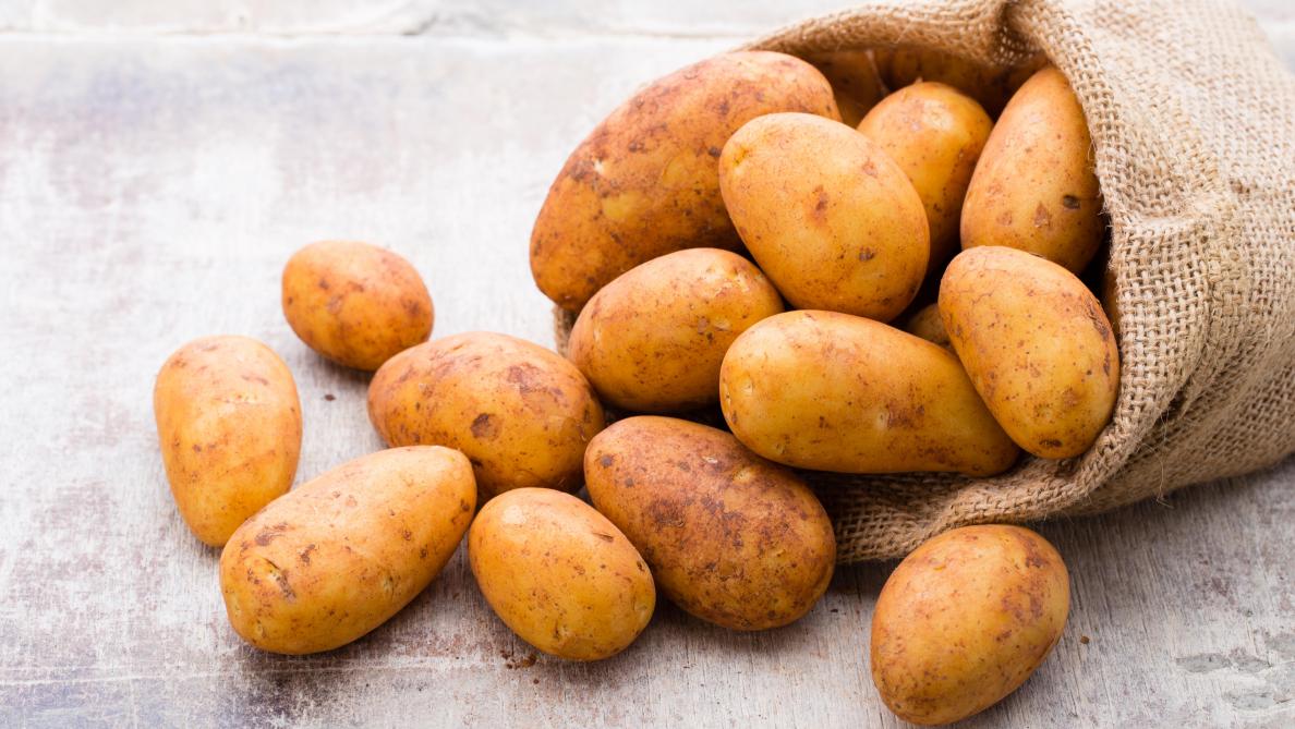 Les producteurs de pommes de terre bio face à un problème majeur d’écoulement