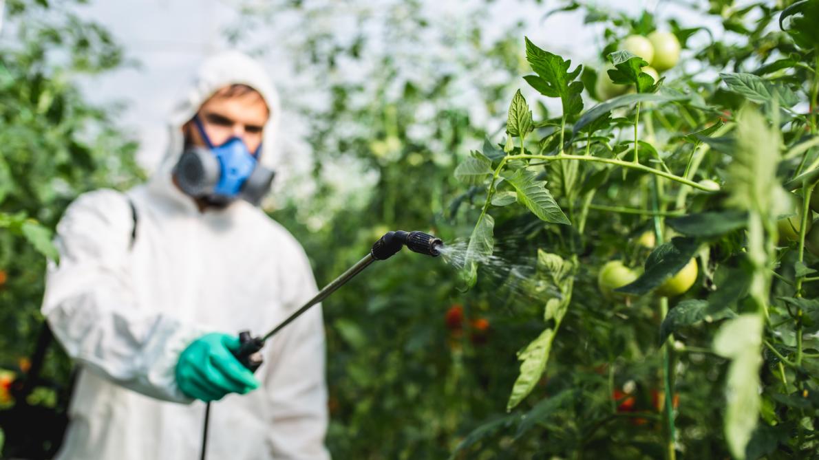 Les Suisses refusent d’interdire les pesticides de synthèse