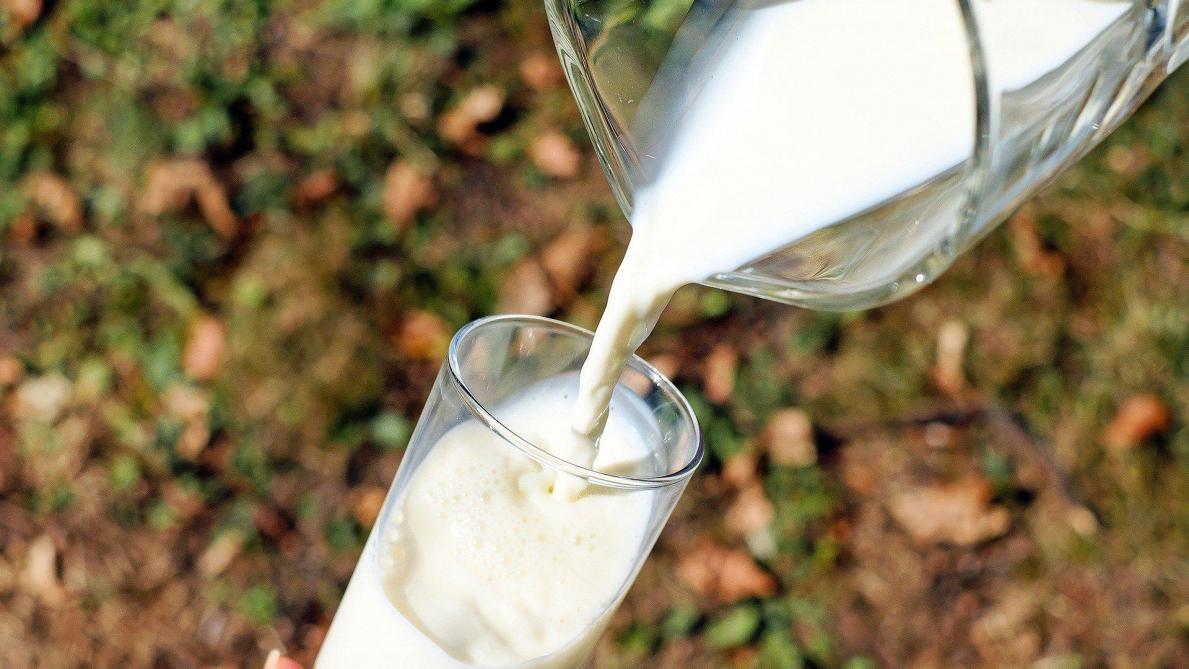 Les prix agressifs sur le lait pratiqués par certaines enseignes inquiètent