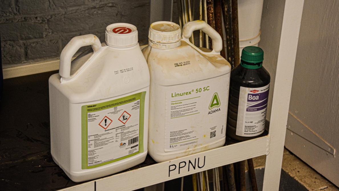 En attendant les collectes, les produits devenus PPNU doivent être stockés correctement dans le local phytos.  Ils doivent être rangés séparément et signalés à l’aide d’une mention « PPNU » ou « Périmé ».
