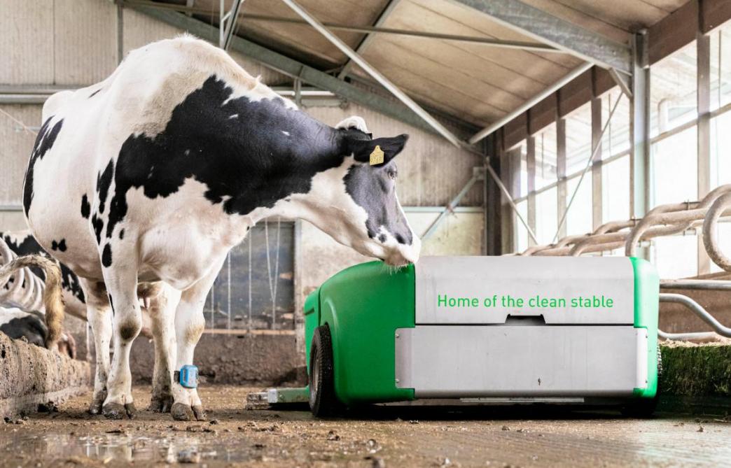 Le robot à lisier peut collecter et transporter du lisier de vache sous plusieurs formes.