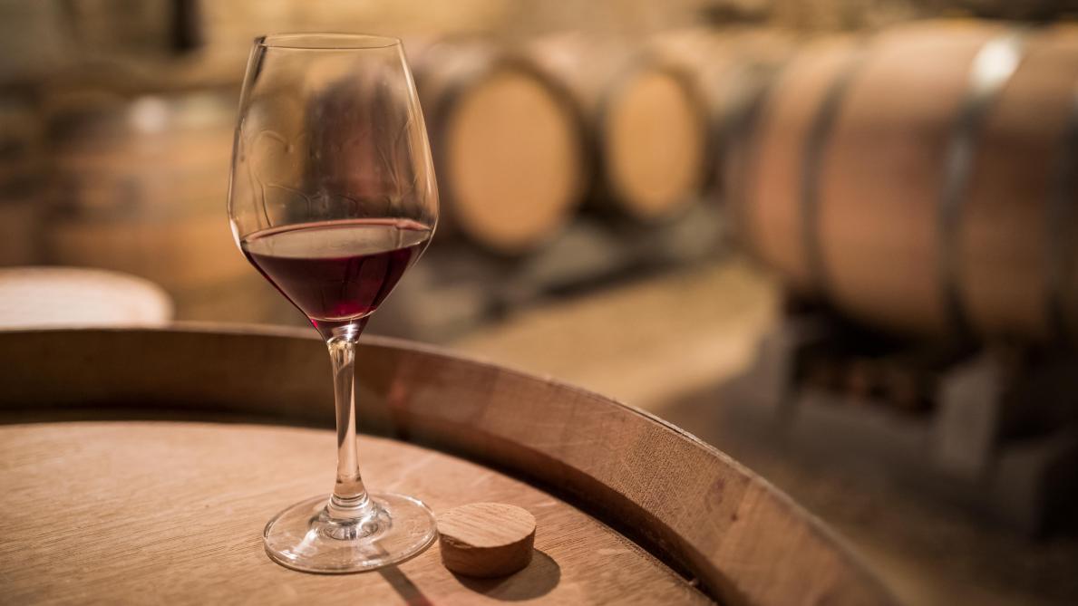La production de vin aux Pays-Bas a bondi de 80% en cinq ans
