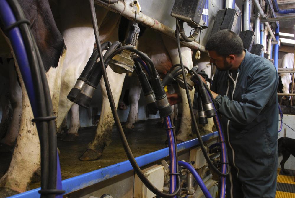 Le projet CowForme vise à permettre aux demandeurs d'emploi de la région frontalière  de devenir salariés en élevage et/ou de pérenniser les élevages de bovins régionaux,  au moyen de formations adaptées.