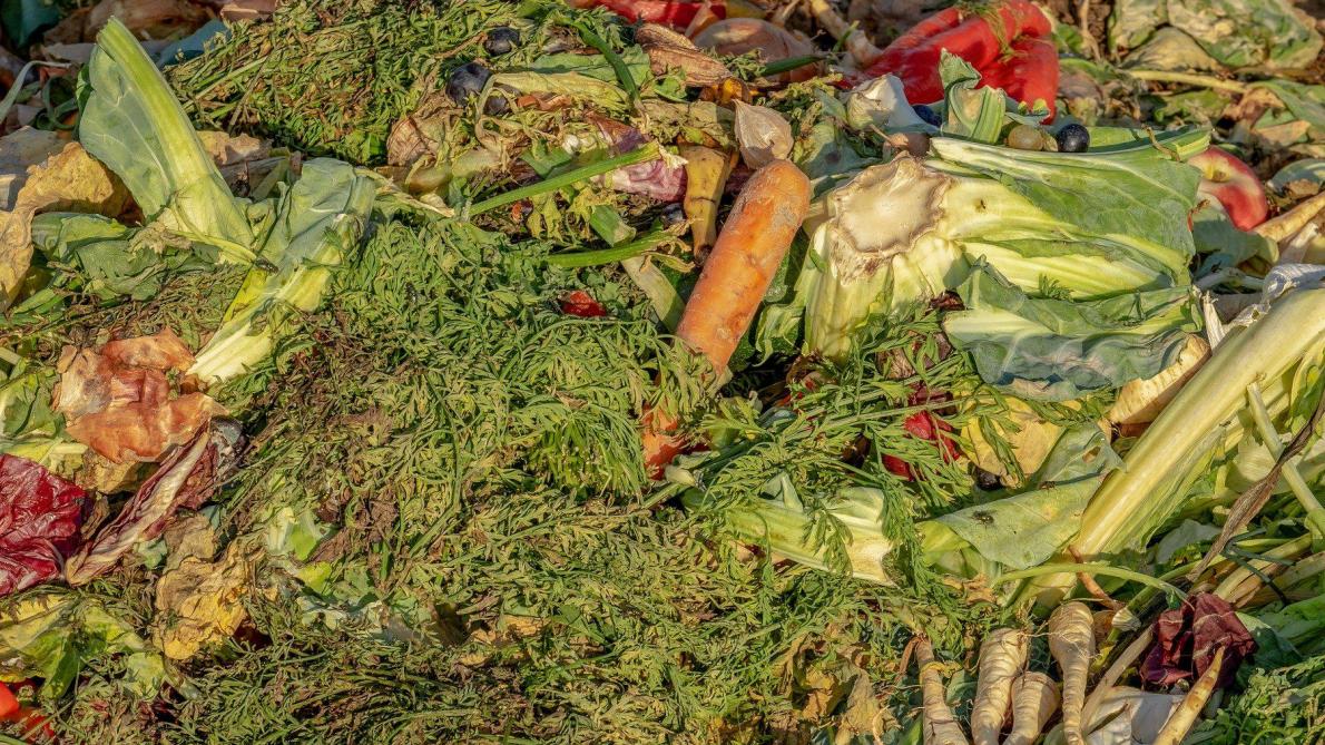 Les groupes d’aliments qui produisent globalement la plus grande quantité de déchets alimentaires sont les légumes, les fruits et les céréales.