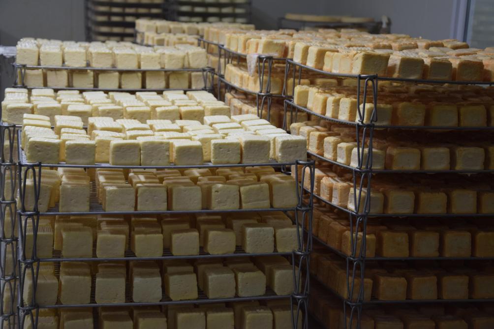 Il faut une dizaine de jours au rouge pour prendre place. Les fromages sont lavés  trois fois par semaine durant trois semaines pour lui permettre  de se développer et éviter les points bleus.