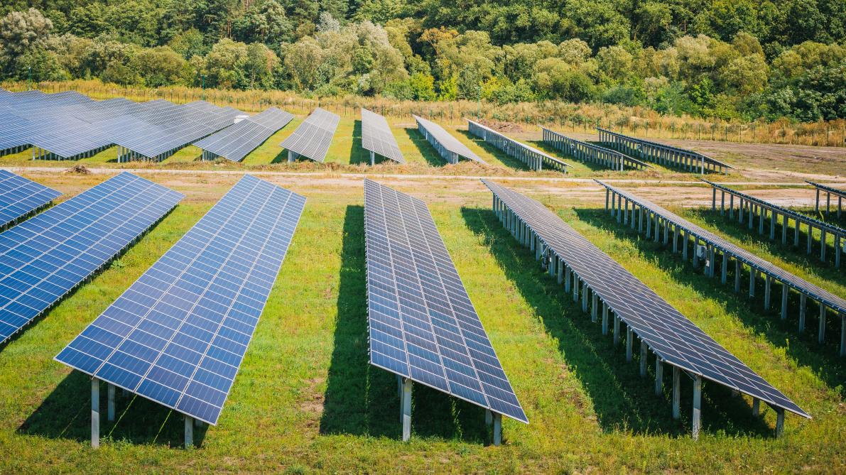 Les Bons Villers veut développer un champ photovoltaïque sur des parcelles