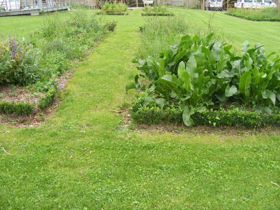 Le calendrier peut être adaopté aussi bien pour les potagers en pleine terre que  pour les jardins en carrés.