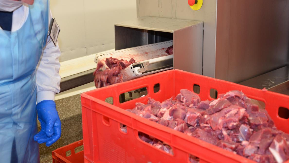 Entre 2017 et 2021, la production de viande a augmenté de 3% en Belgique